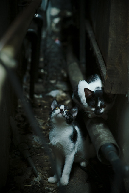 kaiyun官方网站-NBA推出“球员时光瓶”项目，记录退役前心声，nba时空