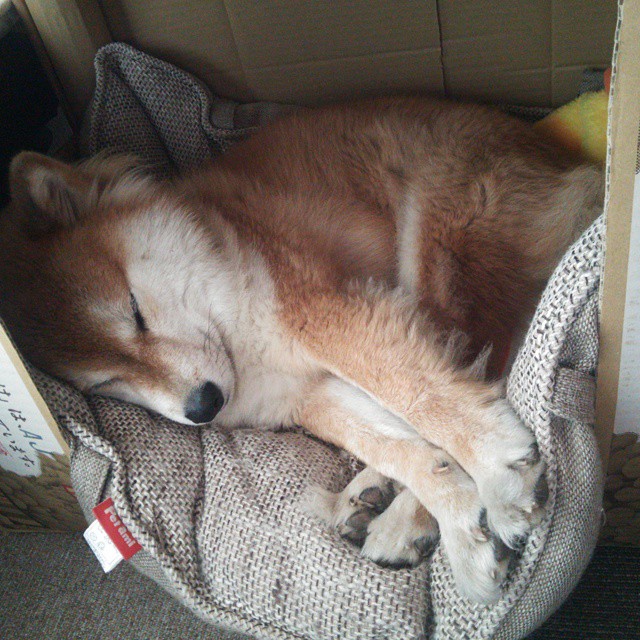 _青春活力：大学生健身大赛精彩纷呈_，大学生健身比赛策划