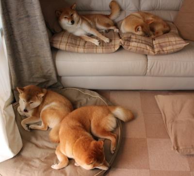 _马刺队稳扎稳打，等待更多惊喜_，马刺队kj