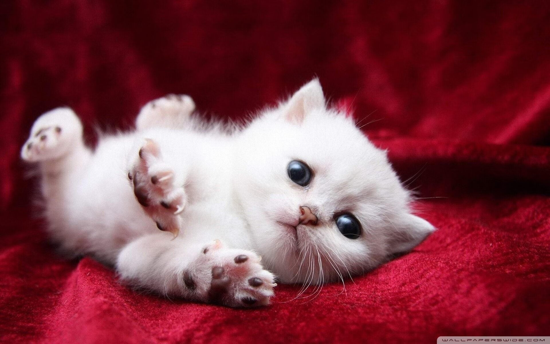 特色旱地马拉松，沙漠与丘陵的耐力对决，沙漠超级马拉松