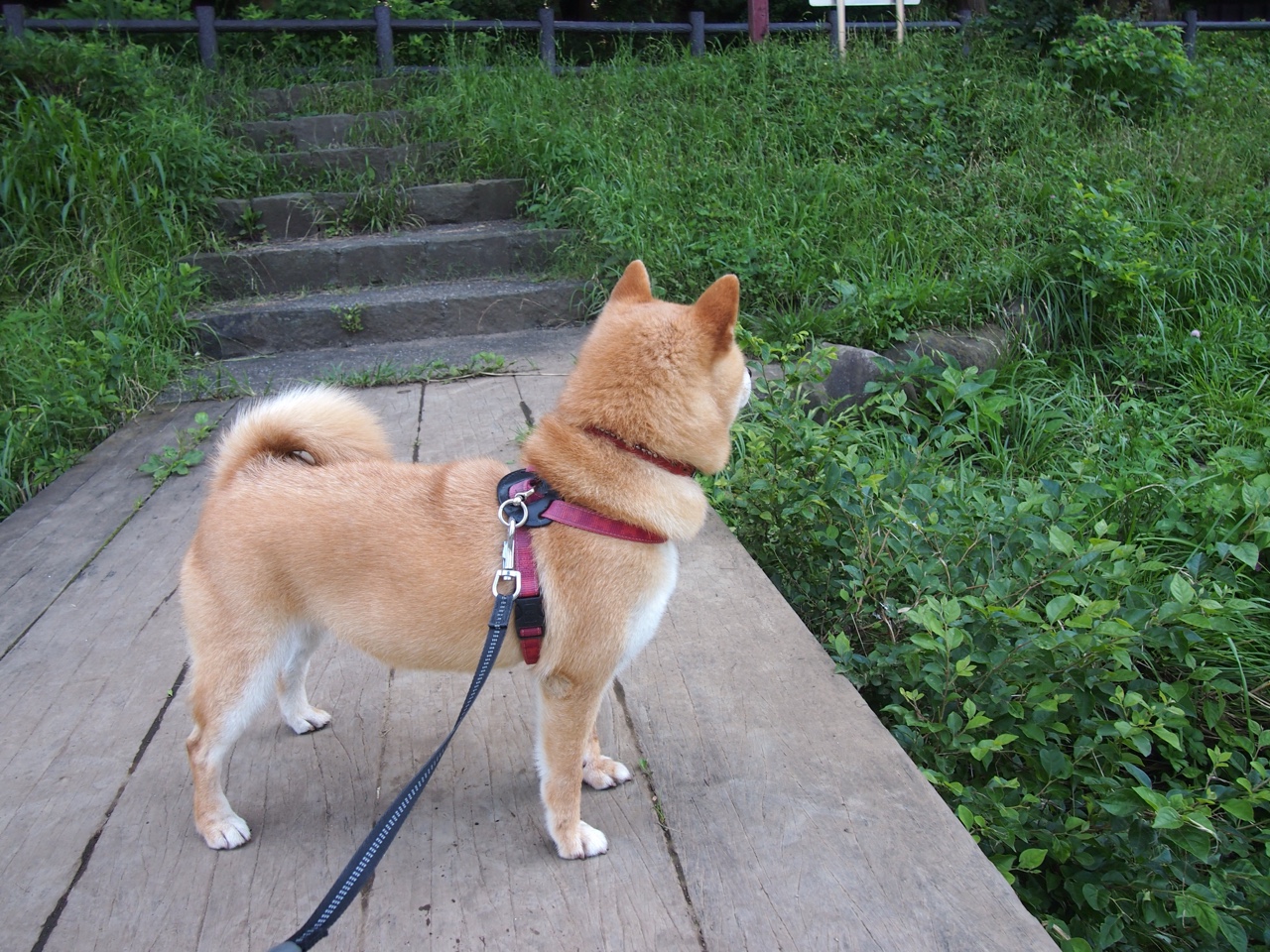 kaiyun中国官方网站-皇室战争“王者之路”全球总决赛倒计时，皇室战争总决赛冠军