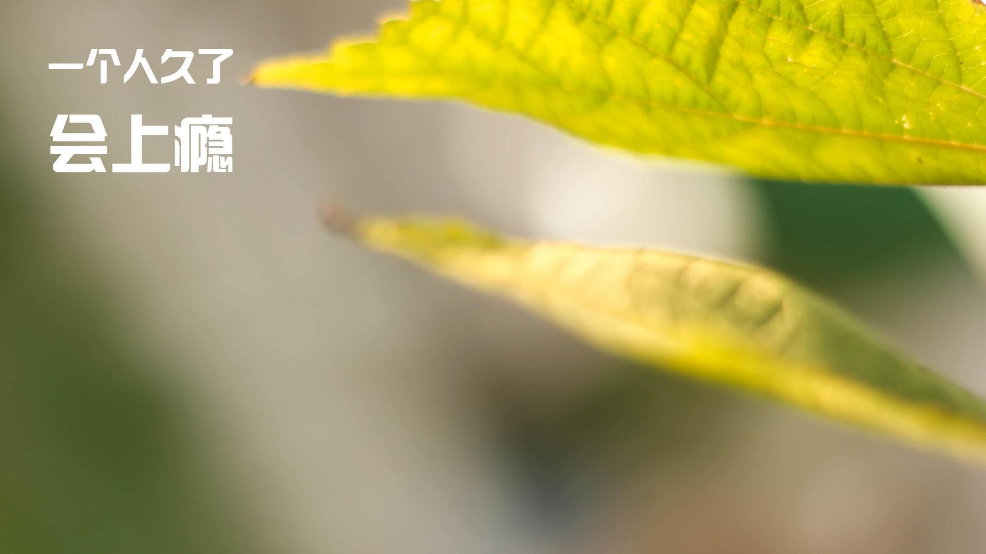 kaiyun体育综合-男篮内部热身赛直播创新高，网友点赞互动平台，男篮热身赛2021