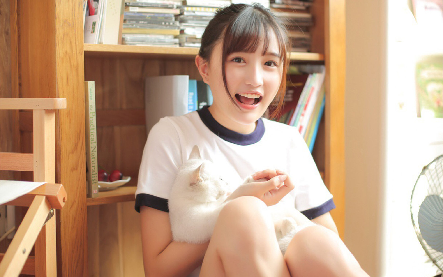 篮网全场压制！，篮网也忍不住了