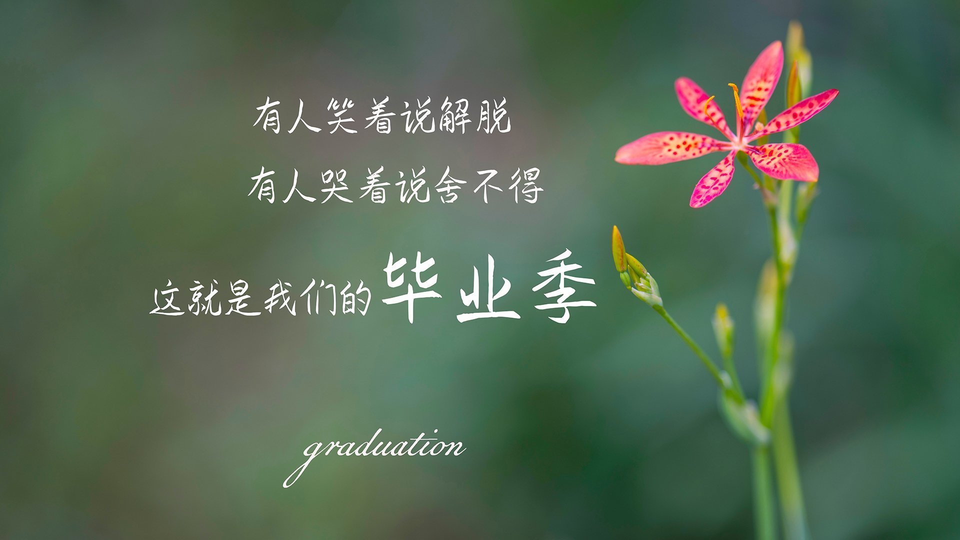 英超豪门豪掷千万，引入顶级中场助阵，英超七大传统豪门