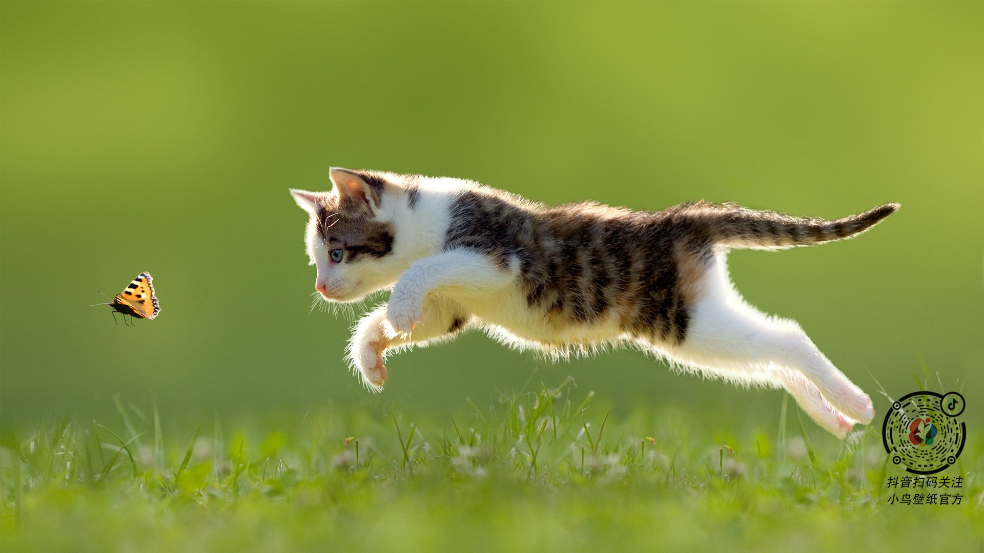 迈阿密热火开启西部之旅，意图扩大胜势，迈阿密热火2021