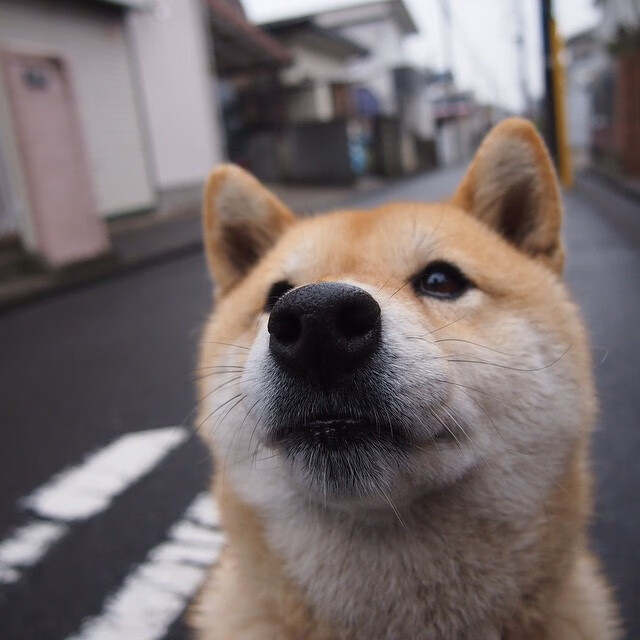 AC米兰客场挑战利物浦,胜败谁人行?,ac米兰vs利物浦比分预测
