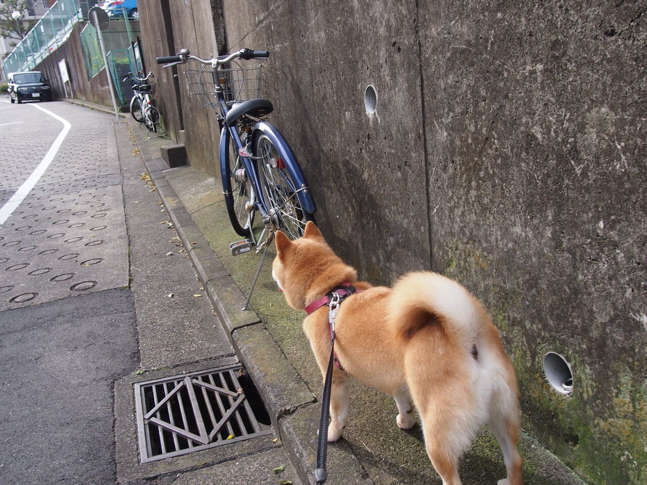 kaiyun官方入口登录-NBA球员疲劳伤病严重加剧球队危机，nba球员受伤高清图片