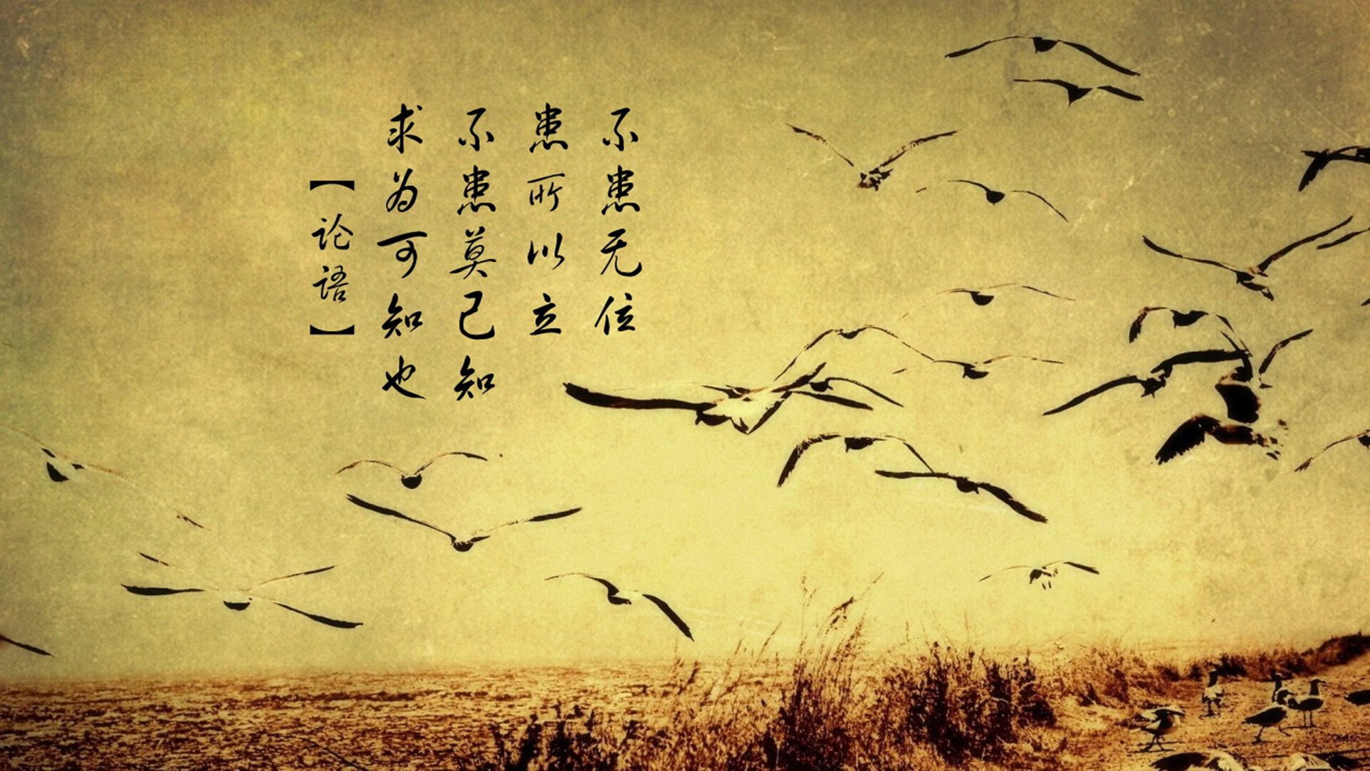 开云体育APP下载-南安普顿主帅拉塞尔·马丁：球队重建的关键人物，效力过南安普顿的门将