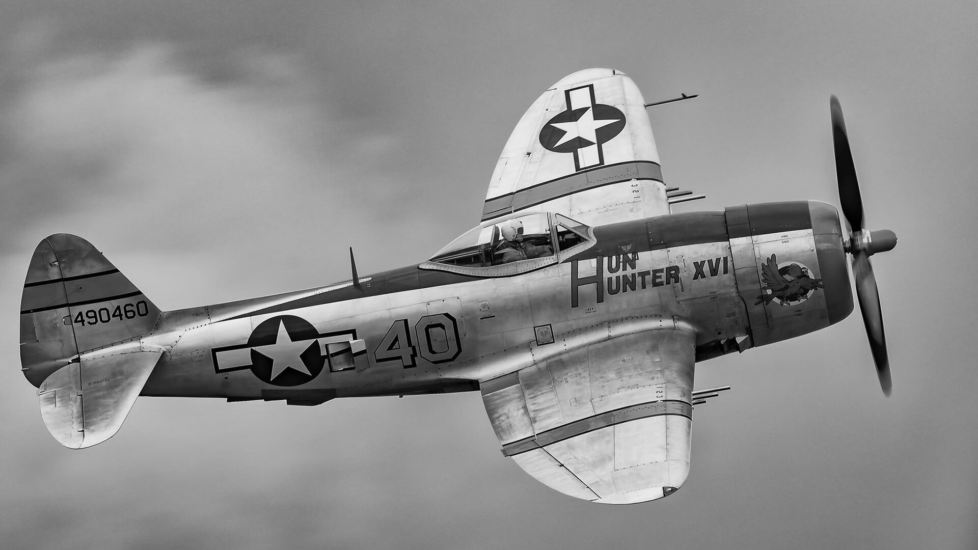 塞内加尔马术协会设立马匹福利基金，支持马匹退休生活。，马赛内马尔