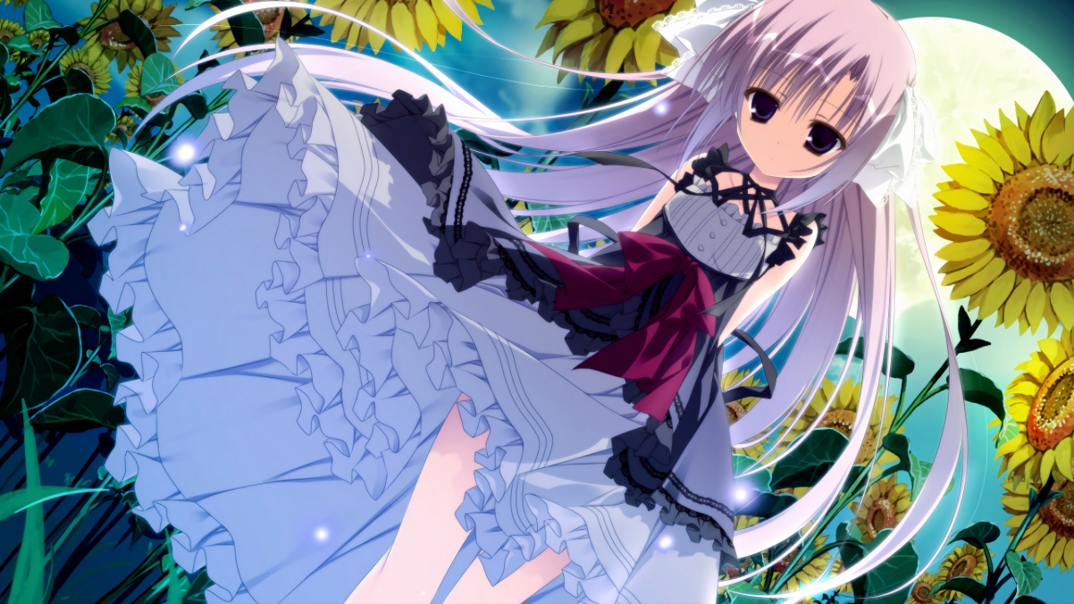 摩纳哥是否需要重建防线体系，摩纳哥存在的意义