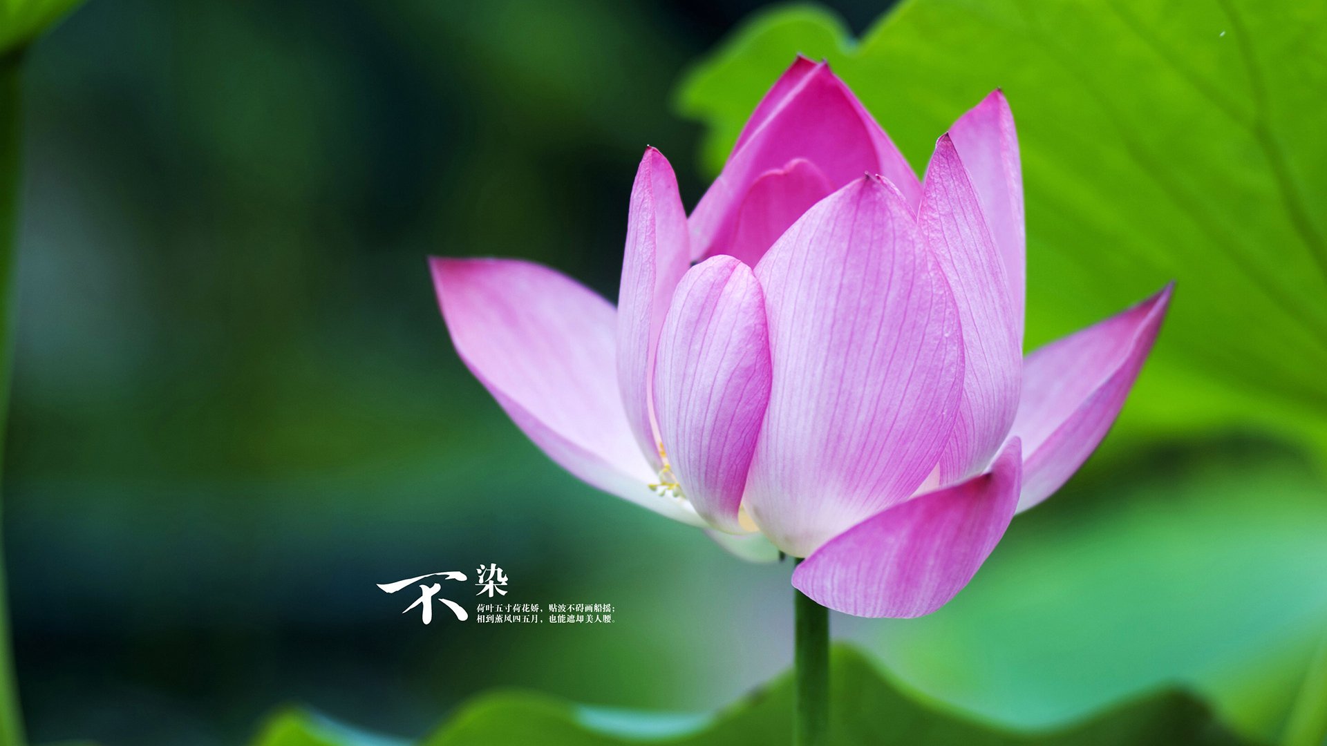 开云体育-江苏苏宁将挑战天津天海，实力对比胜负如何？，天津苏宁总部