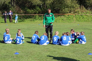 开云体育-中国篮球教练员技术战术创新能力提升路径，篮球教练发展