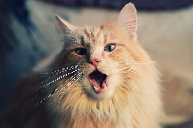 中国足球比赛节奏断点识别分析，足球比赛 中断