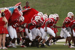 kaiyun中国官方网站-全国青少年长跑赛在南京掀起跑步热潮，青少年长跑标准