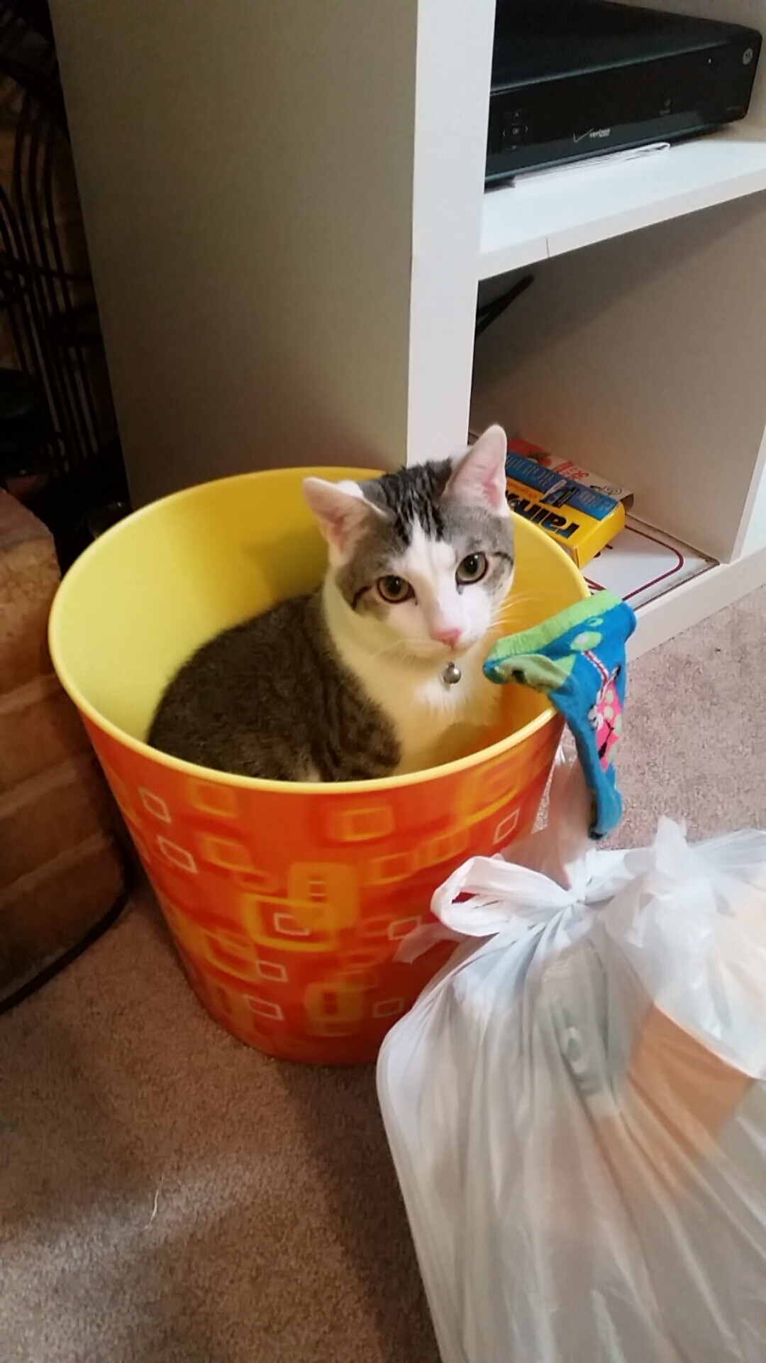 国足场上局势阅读能力评分系统模型,足球能力测试