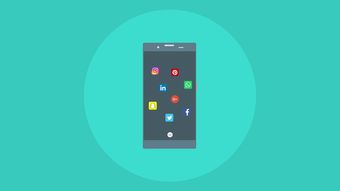 开云中国大陆-校园体育设施智能监测系统建设与应用研究，学校体育智能设备