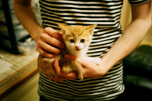 中国女篮发挥整体实力优势，中国女篮好厉害