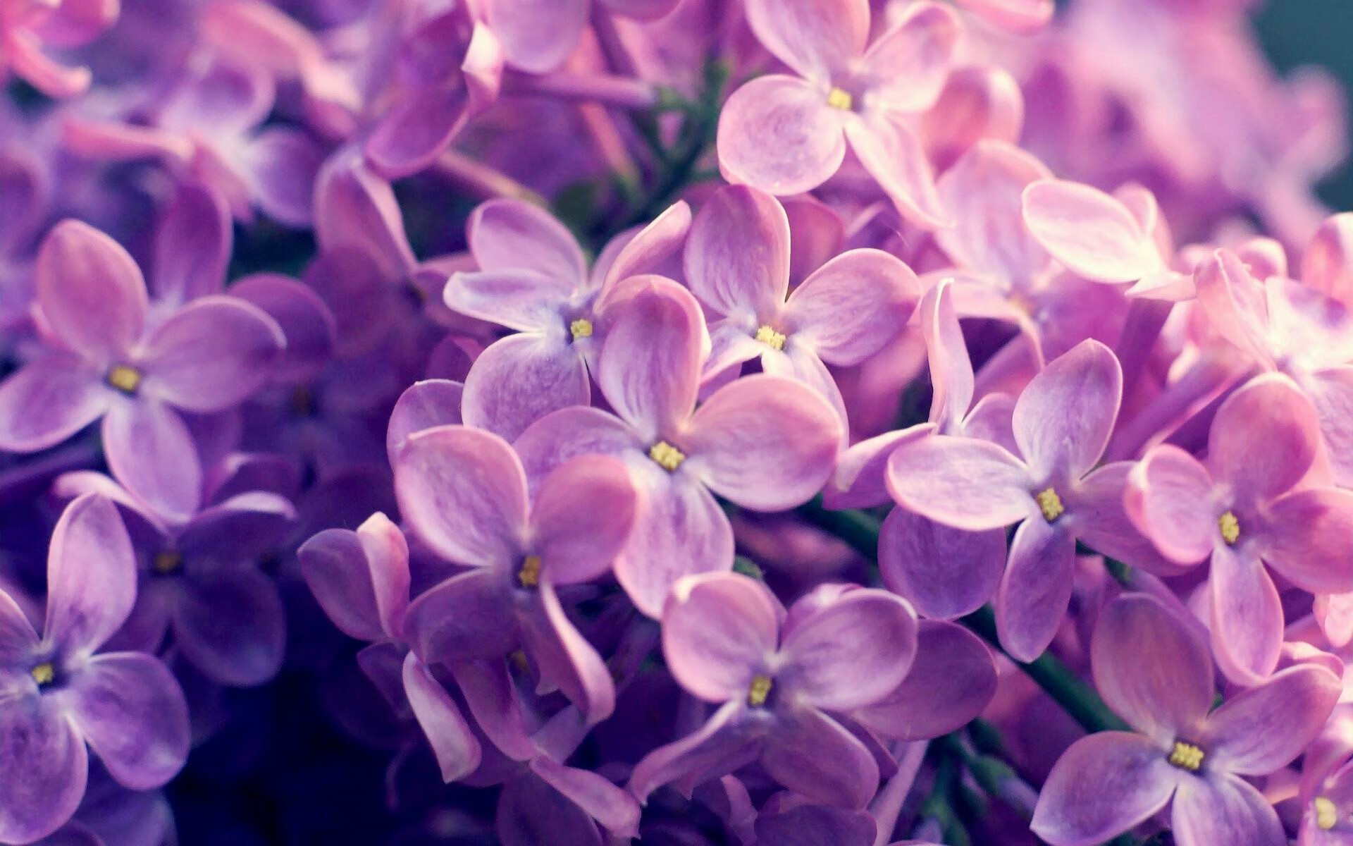 开云官网-冬奥训练营引入跨国教练提升多样化视角，冬奥会训练赛