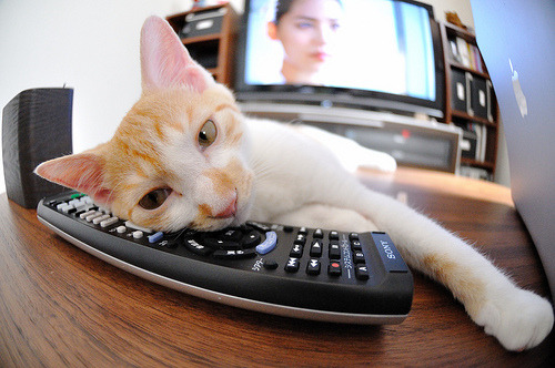 kaiyun登录入口-外援政策变动频繁影响俱乐部稳定，球队外援