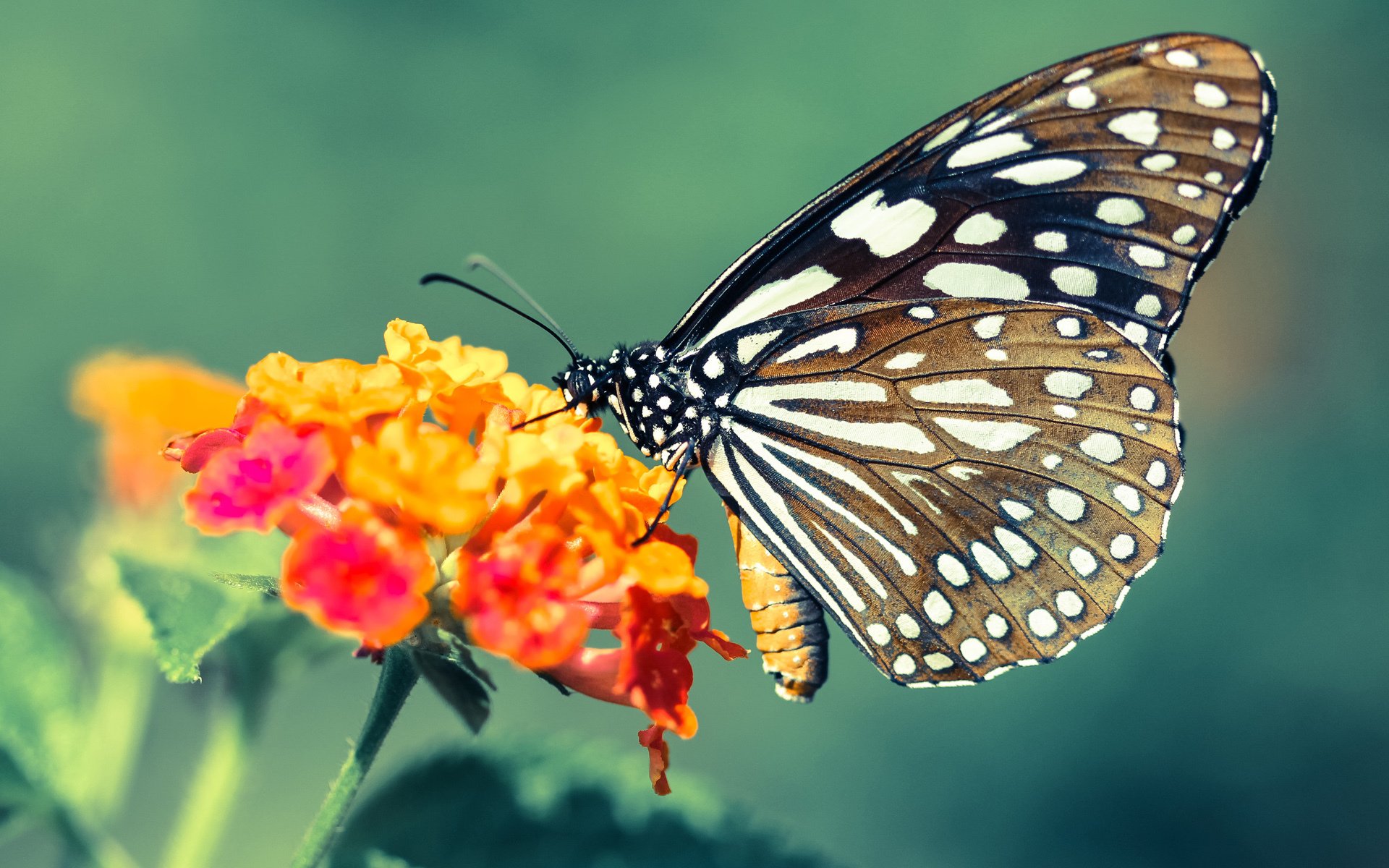 kaiyun中国官方网站-中国篮球注重伤病预防率先引入智能训练设备，中国篮球训练现状